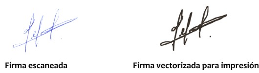 Firmas Vectorizadas